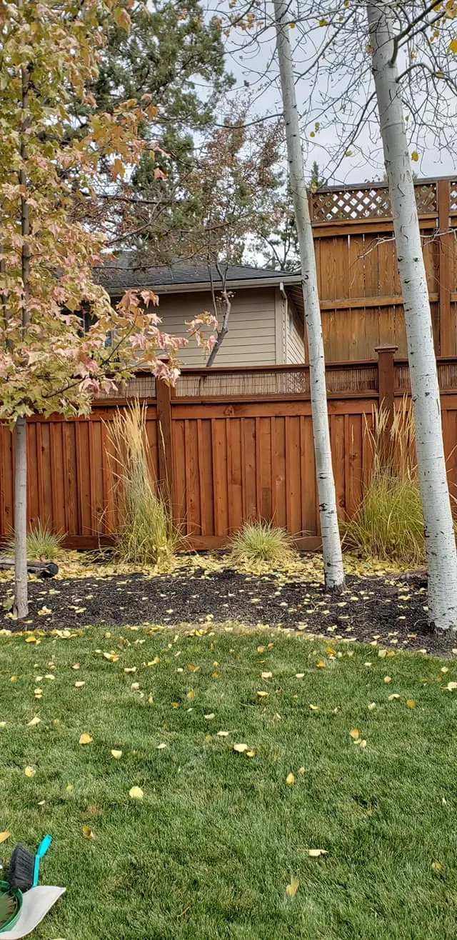 Wide view of a beautifully stained backyard privacy fence in a landscaped yard